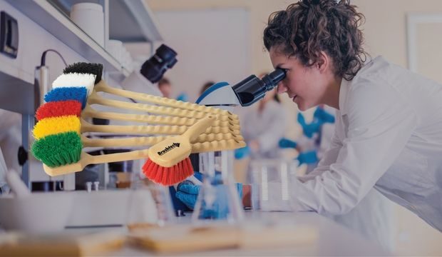 cepillos con laboratorio 2